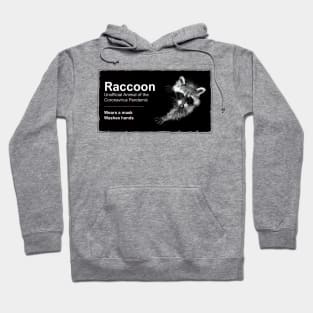 Raccoon Hoodie